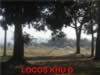 LOCOS KHU D2_s.jpg (39kb)